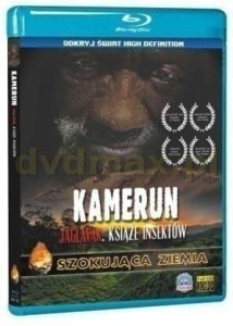 Kamerun [PL] (używ.)