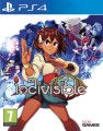 indivisible-01.jpg