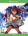 indivisible-1-01.jpg