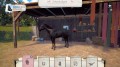 NSwitch_WindstormTheGame_02.jpg