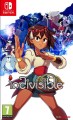 indivisible-2-06.jpg
