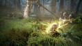black-desert-prestige-edition-07.jpg