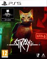 stray-01.jpg