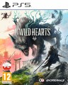 wild-hearts-10.jpg