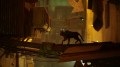 stray-10.jpg