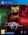 stray-1-01.jpg